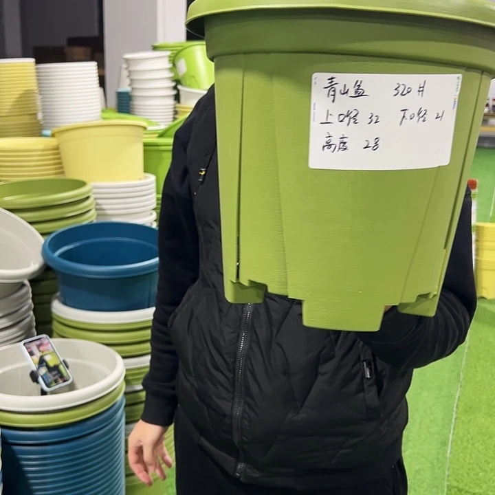 清仓青山口32高28果绿色5支无托