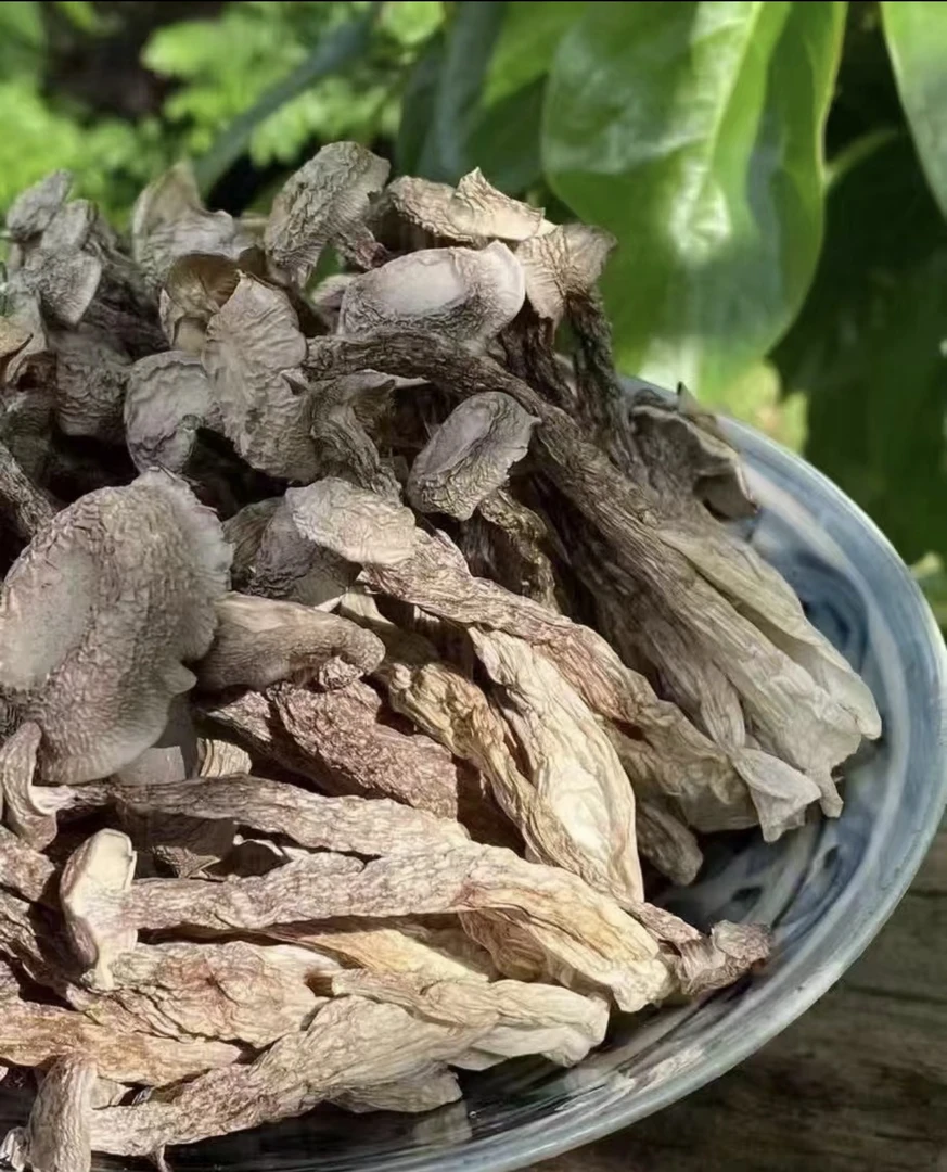 云南深山 山货鹿茸菇250g