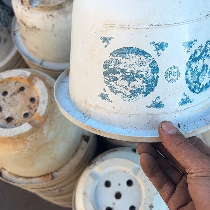 花开富贵口径24高16福利8个