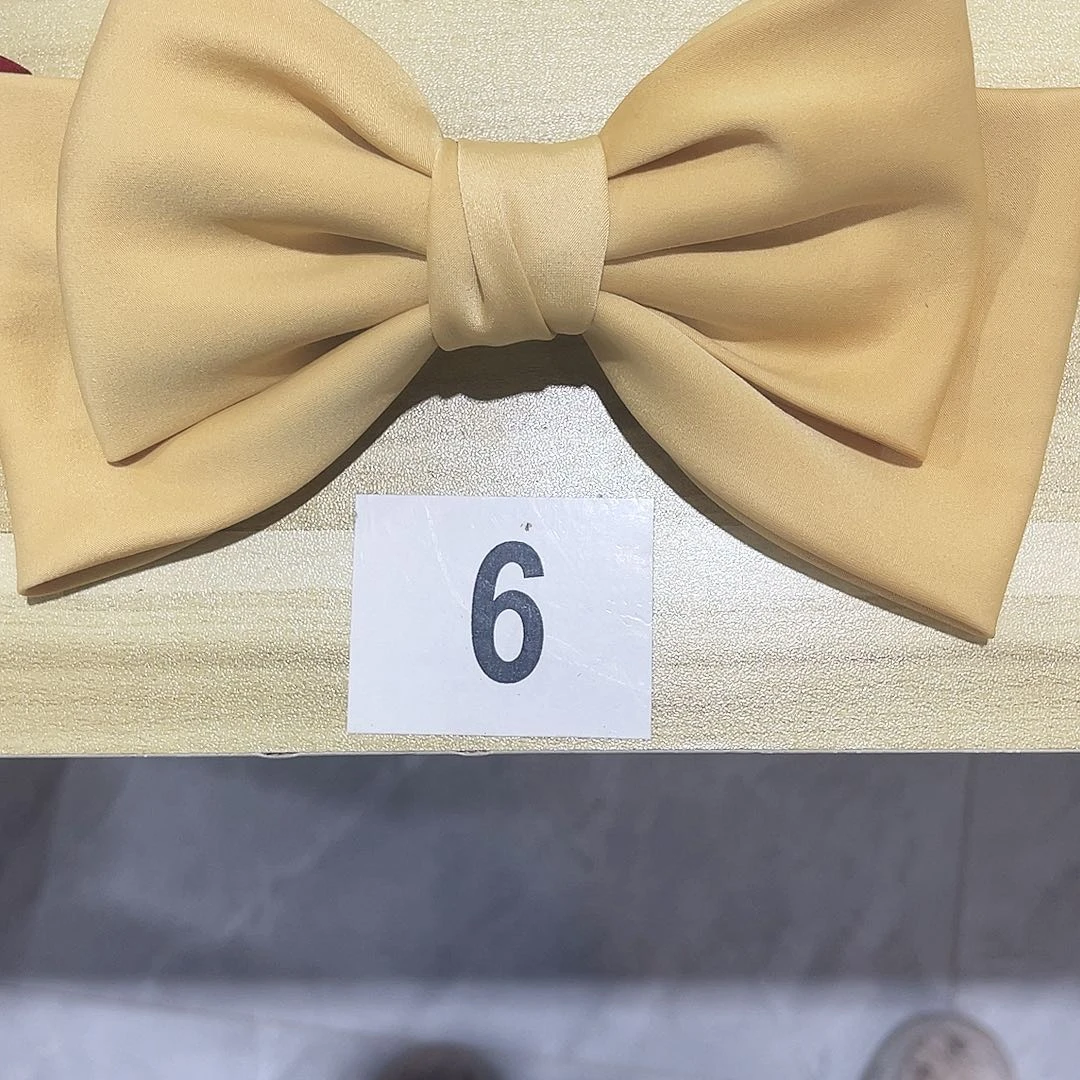 皮质铁合金蝴蝶发夹