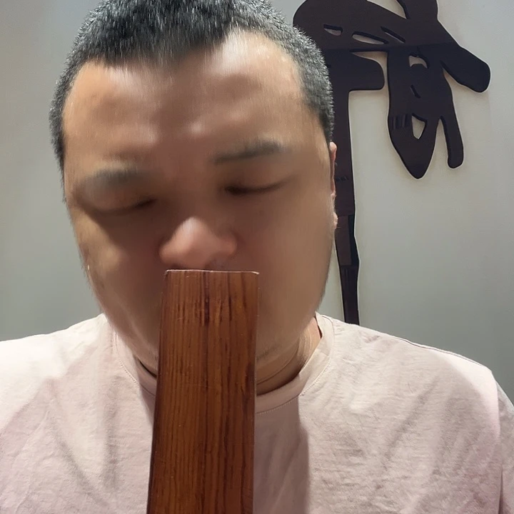 木H09 大果紫檀（缅甸花梨）