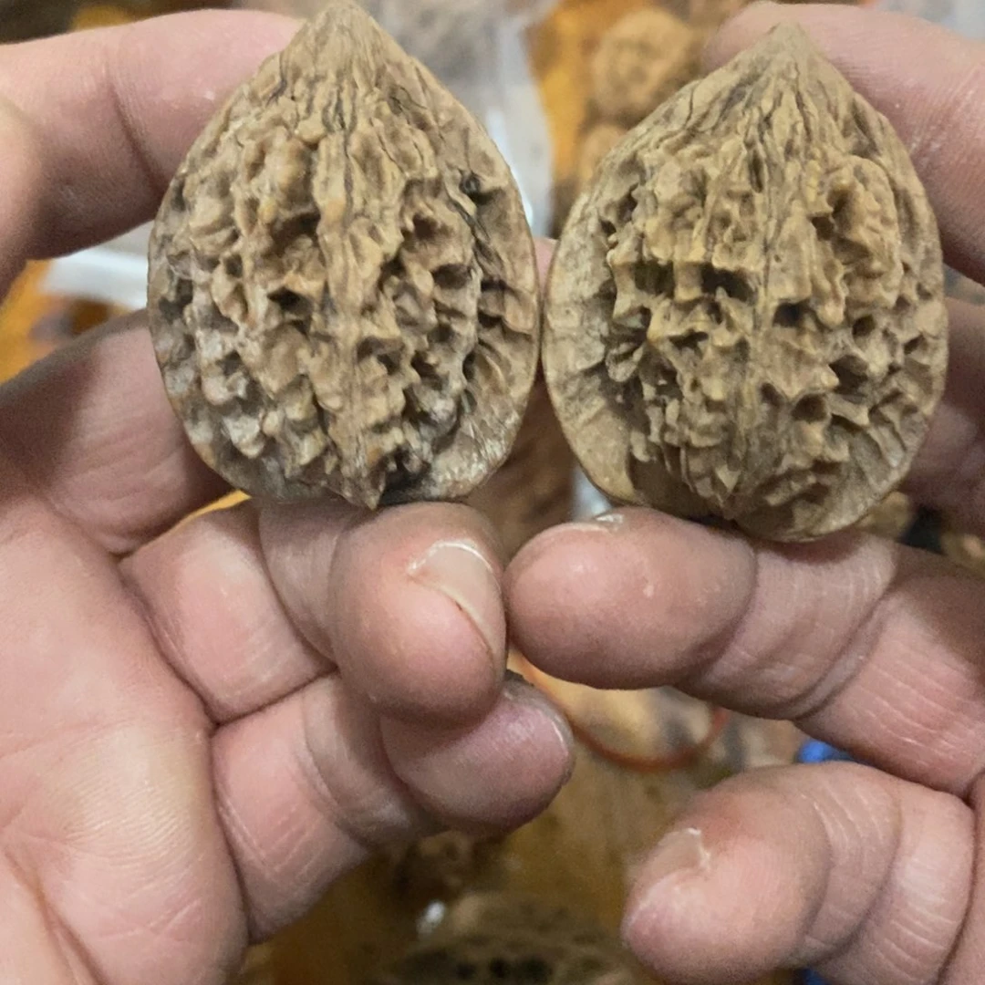 林**～秦岭山脉东面至黄河西