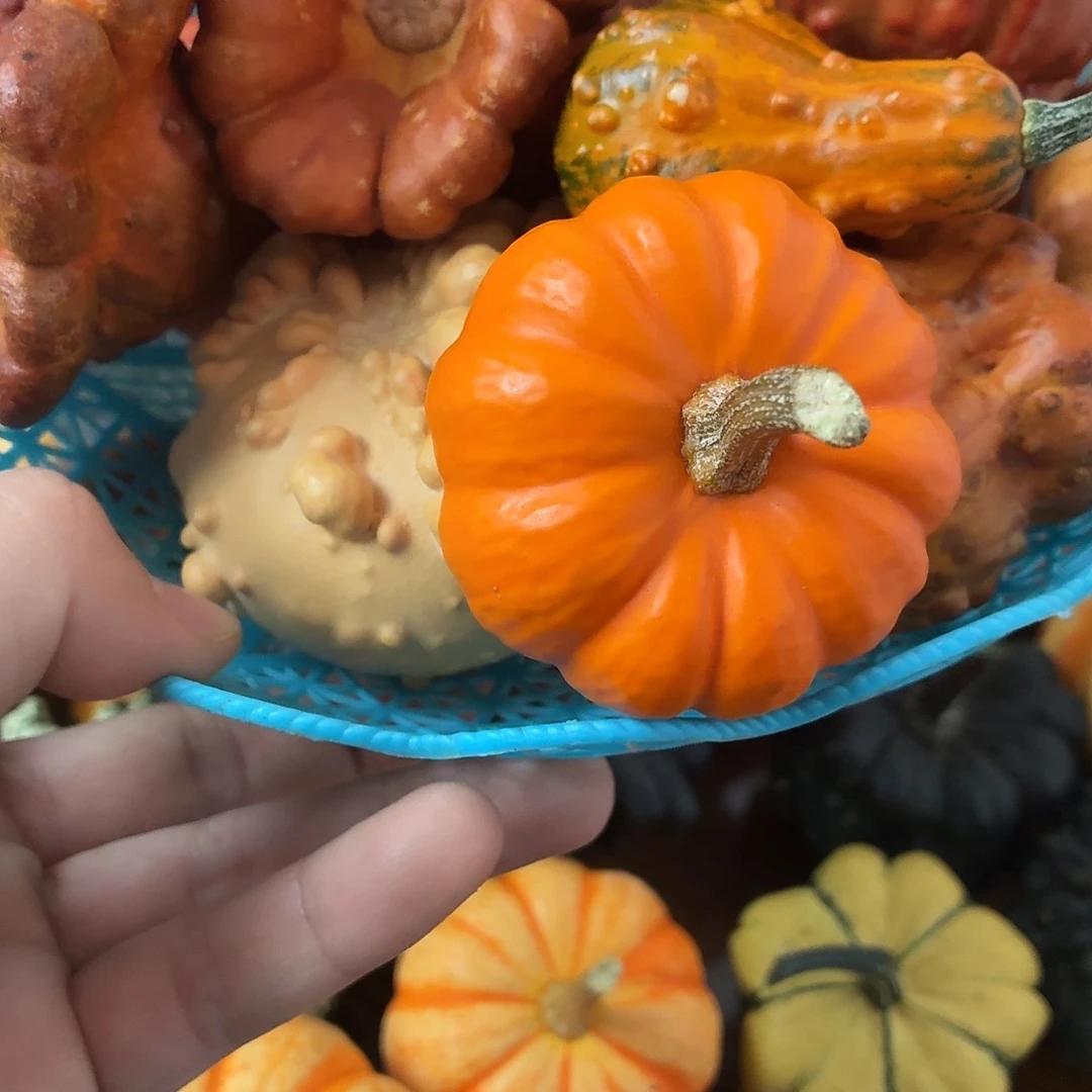 简***爱墨西哥文玩葫芦一堆