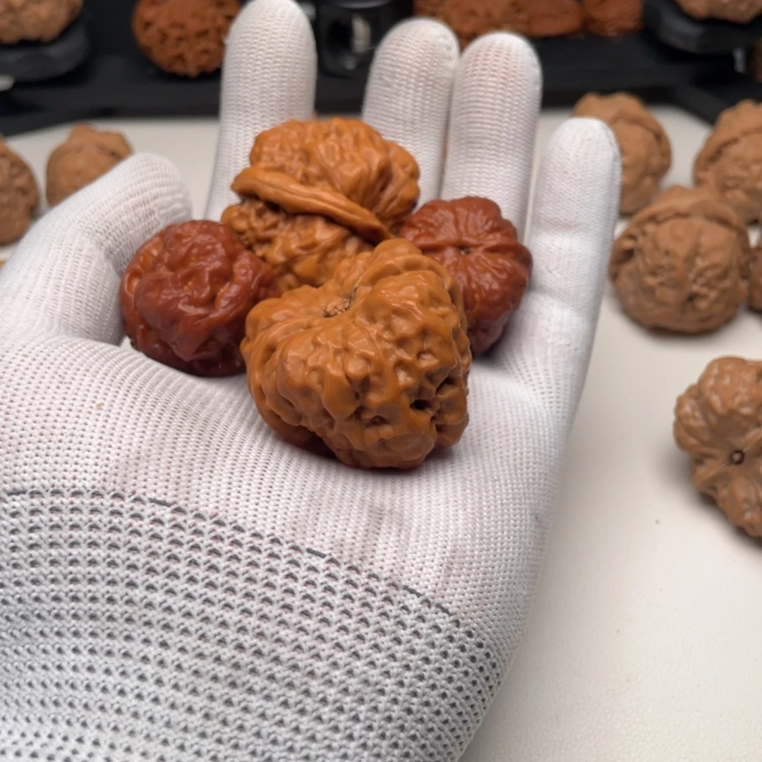 默***Z核桃核桃二队一对43一对31.5