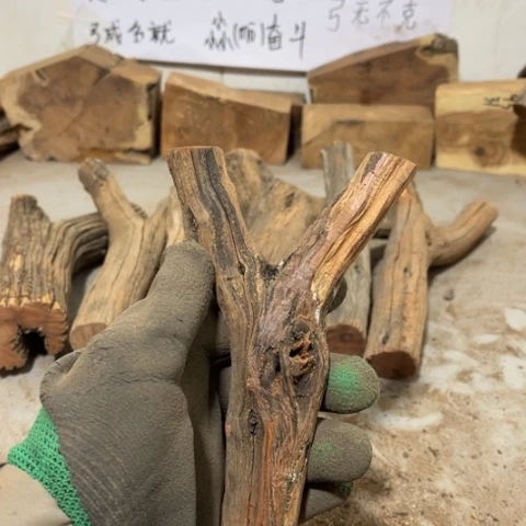 大果紫檀（缅甸花梨）巡***妖