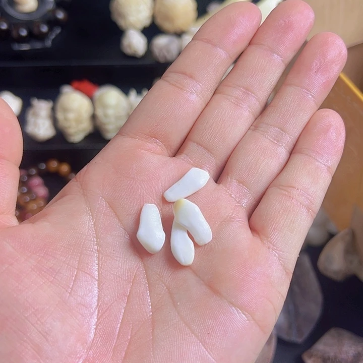 白*养殖鹿牙卡子配饰