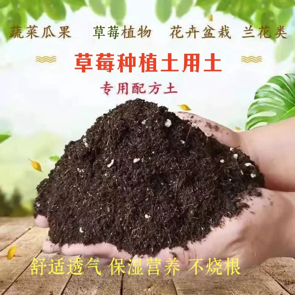 草莓专用营养土瓜果树通用配方土壤草莓盆栽种植土阳台有机土肥料