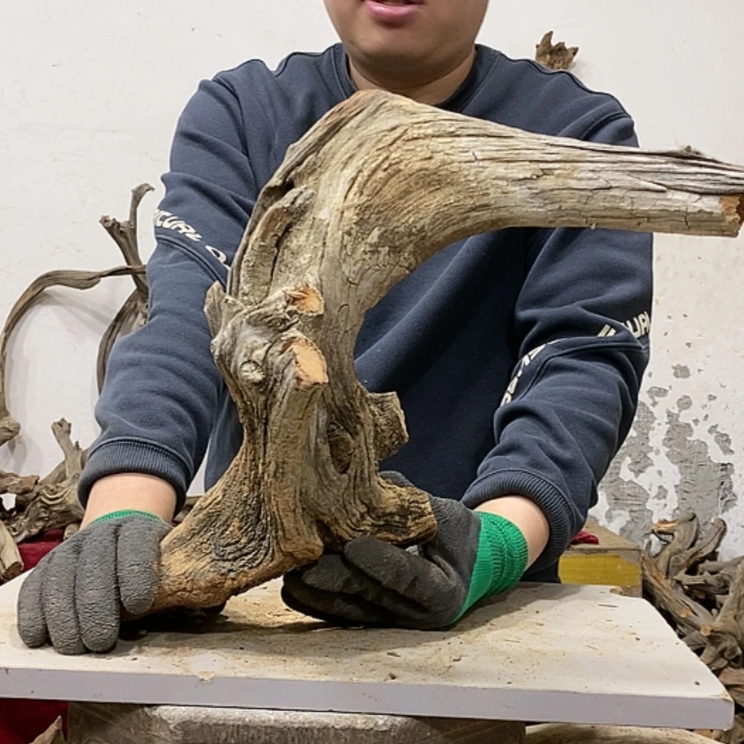 【闪购商品】柏木金*我们都是好孩子