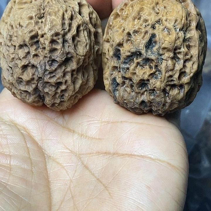 文玩核桃把件云南铁核桃85