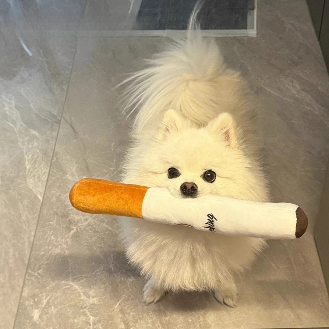 狗狗香烟毛绒玩具香烟华子宠物发声自嗨解闷磨牙耐咬不烂小狗宠物