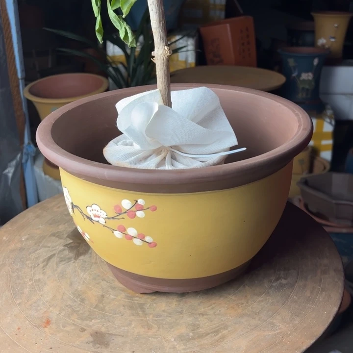 紫砂t005中花盆花盆花盆