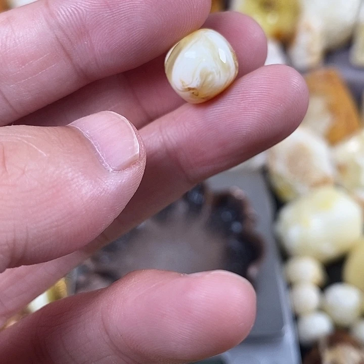 未镶嵌琥珀裸石我