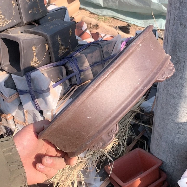 紫砂我的人生真的有一个月