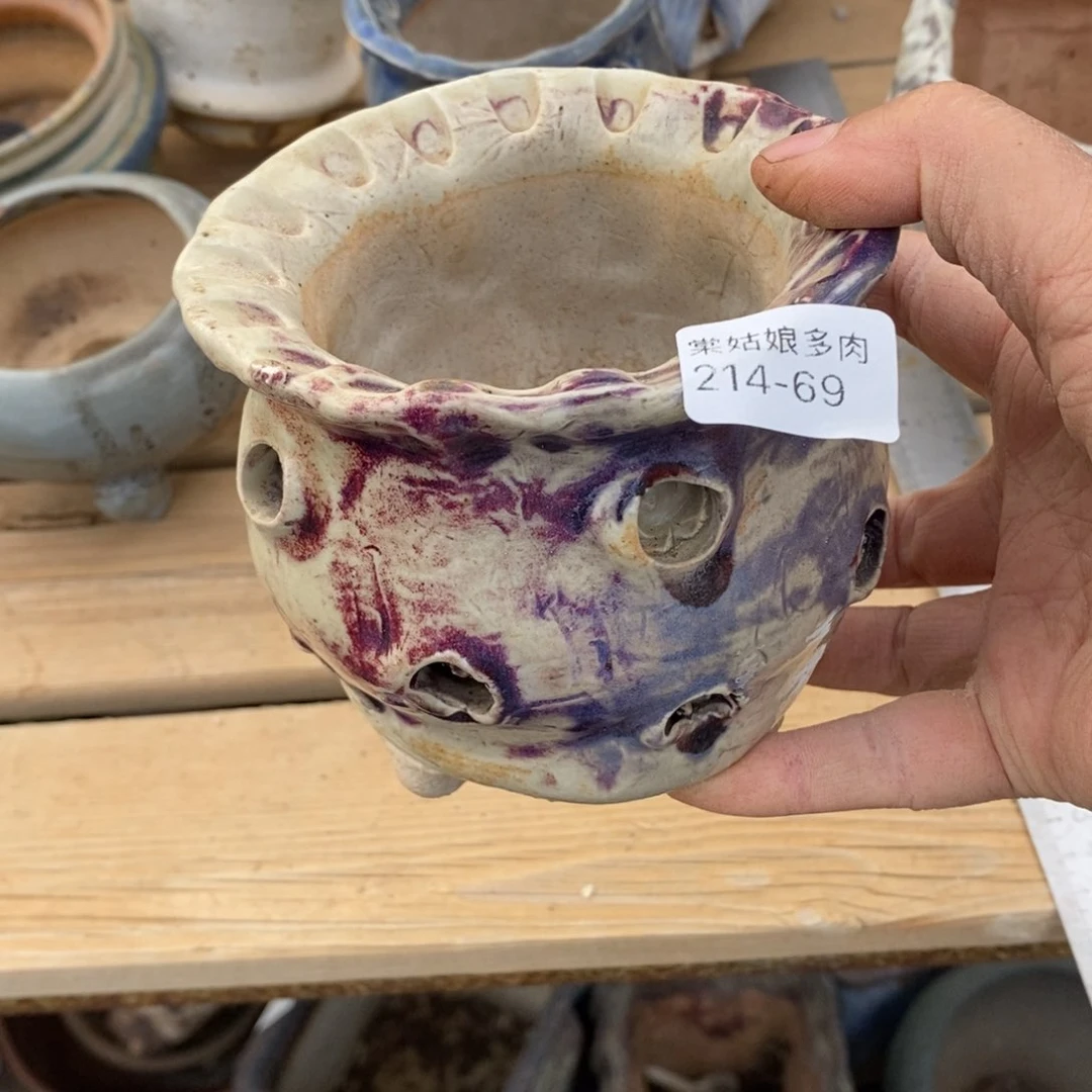 红陶群*69号多肉盆一个呀