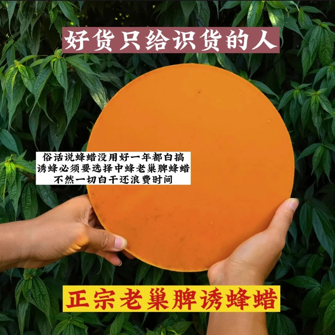 湘西小文 正宗蜂蜡 老巢脾诱蜂蜡 户外诱蜂蜡天然清香实用