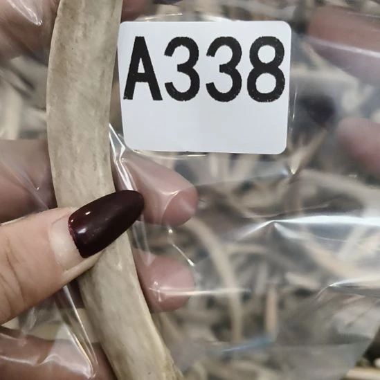 邓***杰鹿角鹿角鹿角鹿角鹿