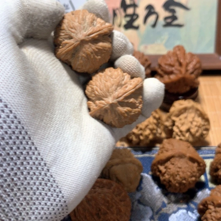 吃***鱼哈哈哈哈哈哈哈哈哈