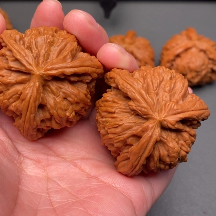 从***辰木质类核桃核桃荷兰