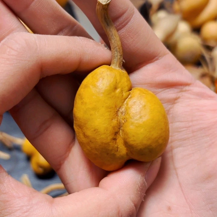 洛****力888888888888888888888