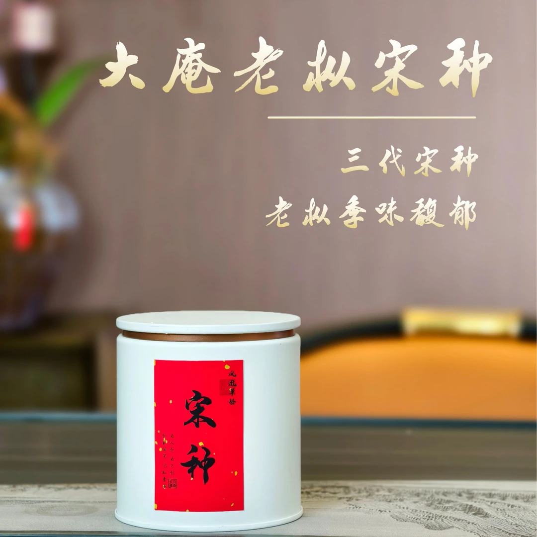 【大庵·老枞宋种】凤凰单丛核心产区大庵老枞宋种 大庵老枞季味明显