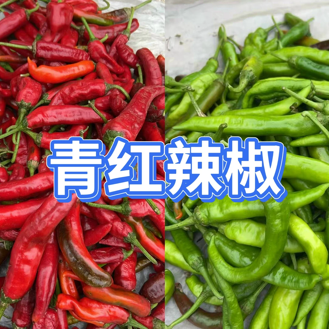 信阳姐妹花-农村自家种植现采现摘新鲜本地蔬菜青辣椒红辣椒