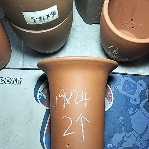 大红兰花两个花盆