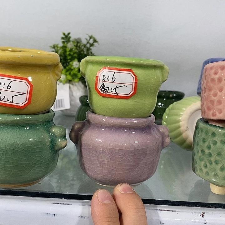 花盆抢购清货马上开始