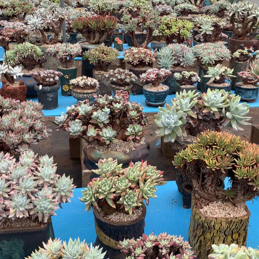 墨**～死鬼么么哒，还余1400