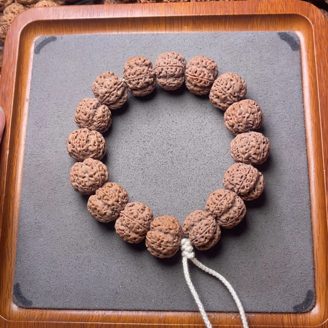 菩提籽类32号金刚菩提深沟梁梅花20