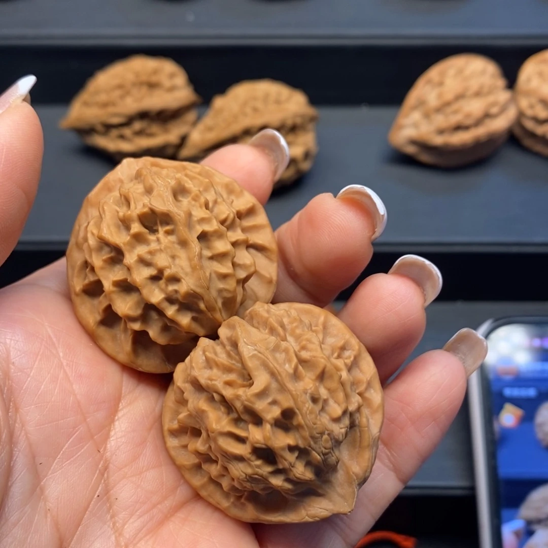 秦岭南风雨兼程走好脚下