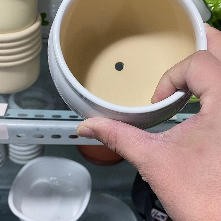 花盆抢购清货马上开始