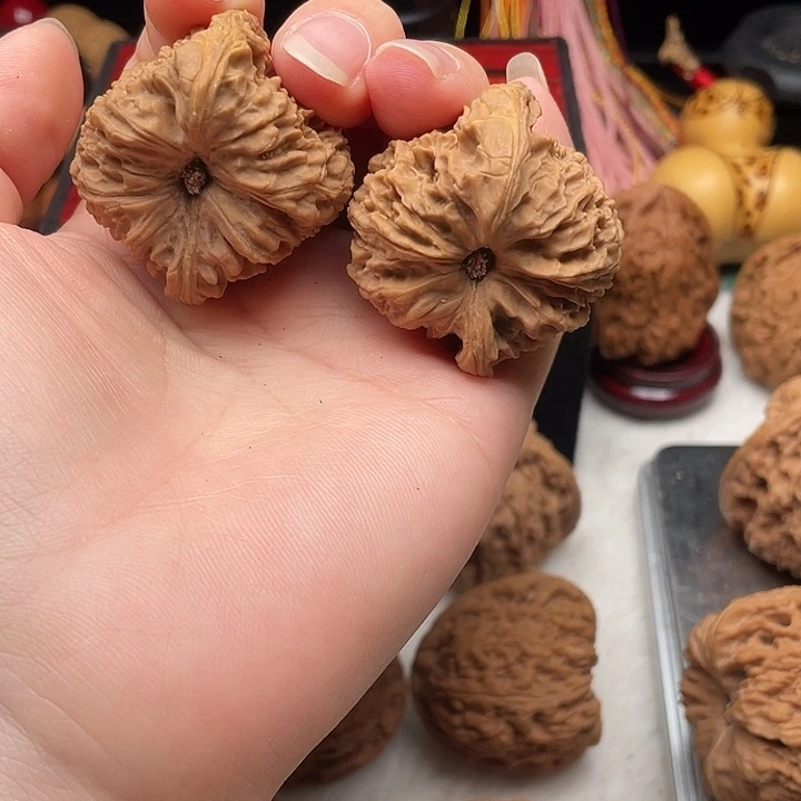 X***·高炮天残 一只黄多 小凹底 39-41