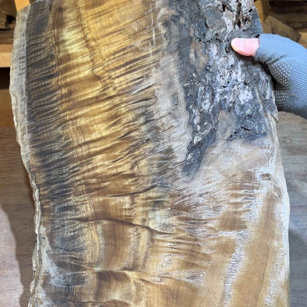 金丝楠金丝楠原材料