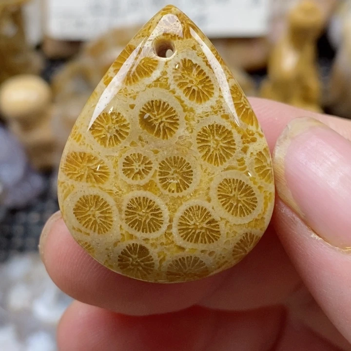 颈饰未镶嵌硅化珊瑚（珊瑚玉）小