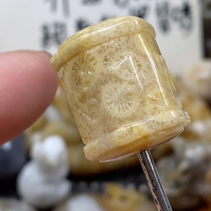 颈饰未镶嵌硅化珊瑚（珊瑚玉）