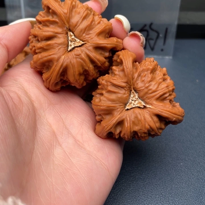 不***能吊坠文玩核桃白狮子