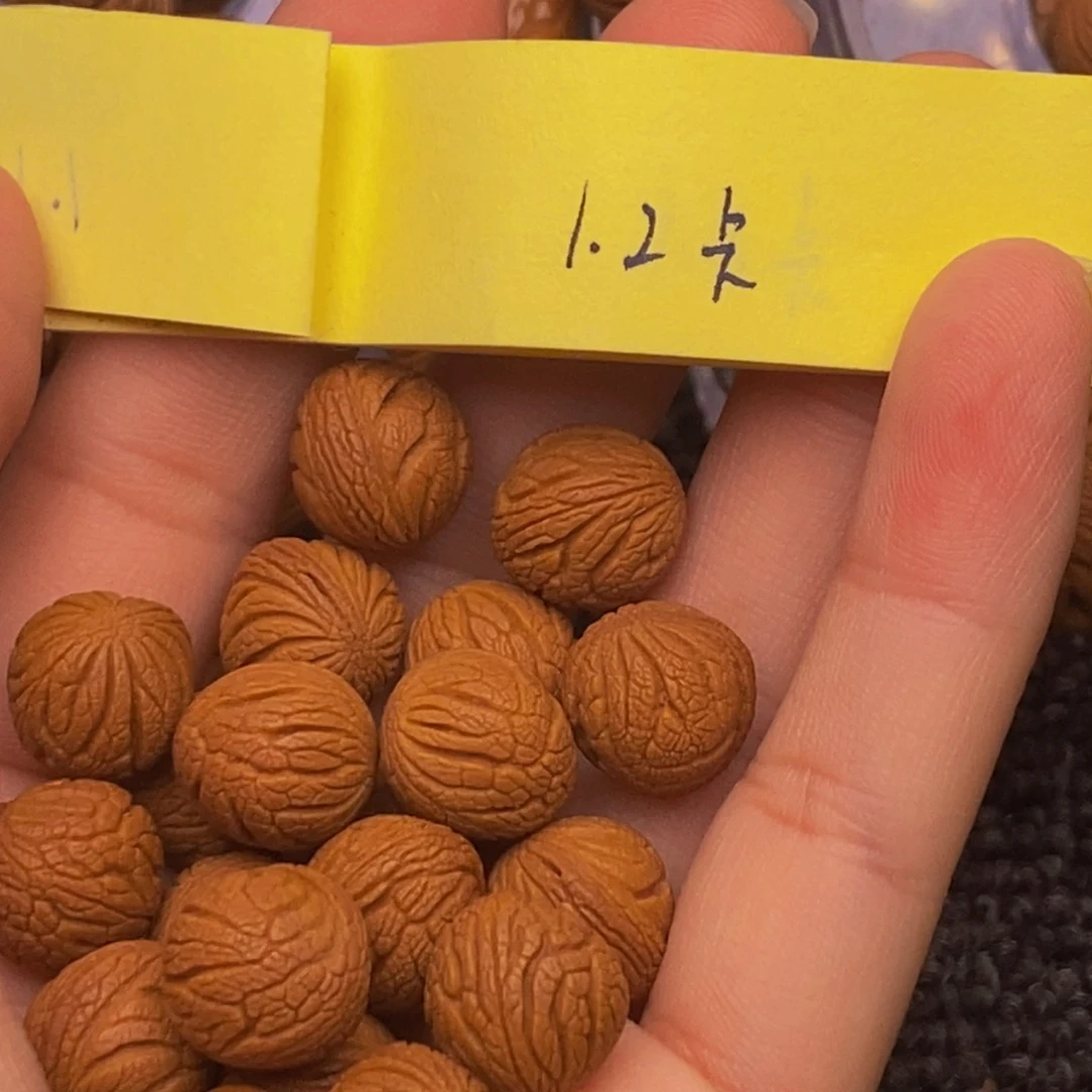 秦岭山脉龙纹桃核。20