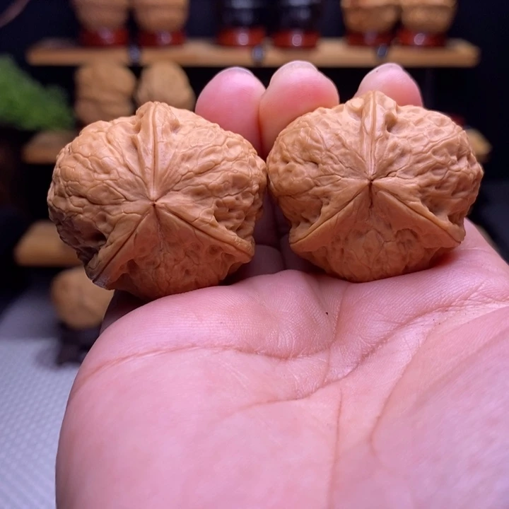 木质类云铁寿桃三棱28号