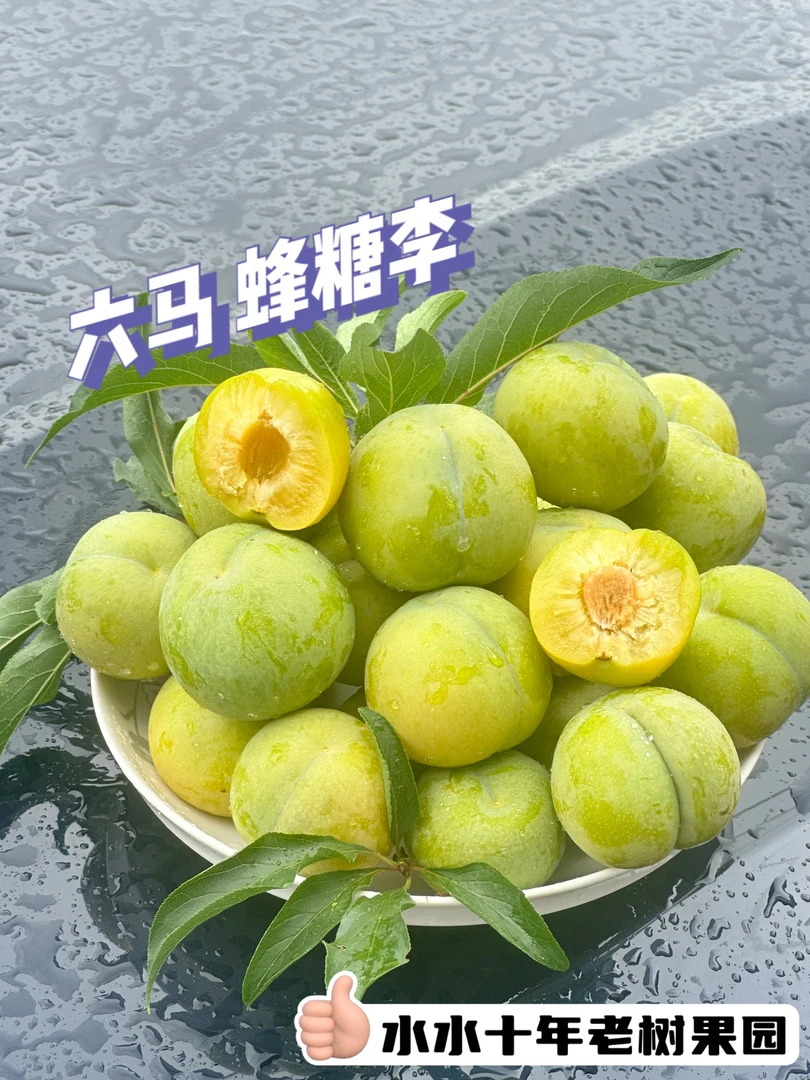 六马正宗蜂糖李新鲜水果脆甜多汁现摘现发