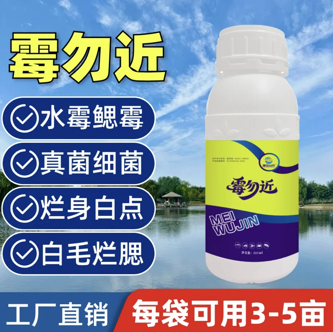 《霉勿近》大蒜素硫醚沙星鱼塘水霉白毛烂身趴边漫游水产养殖鱼缸用