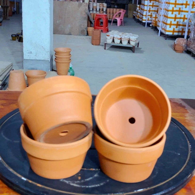 【闪购商品】2-11×7-5