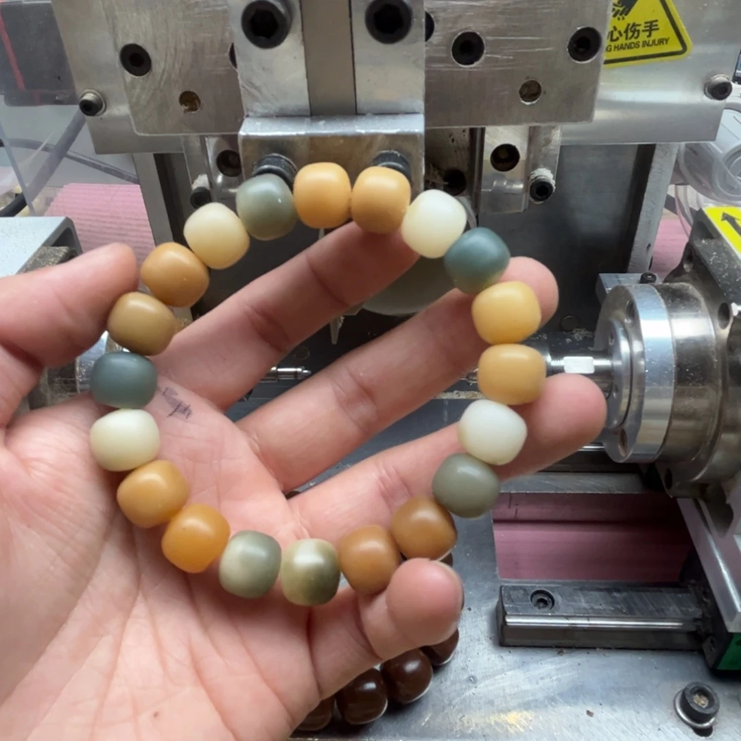 手串菩提根/象牙果