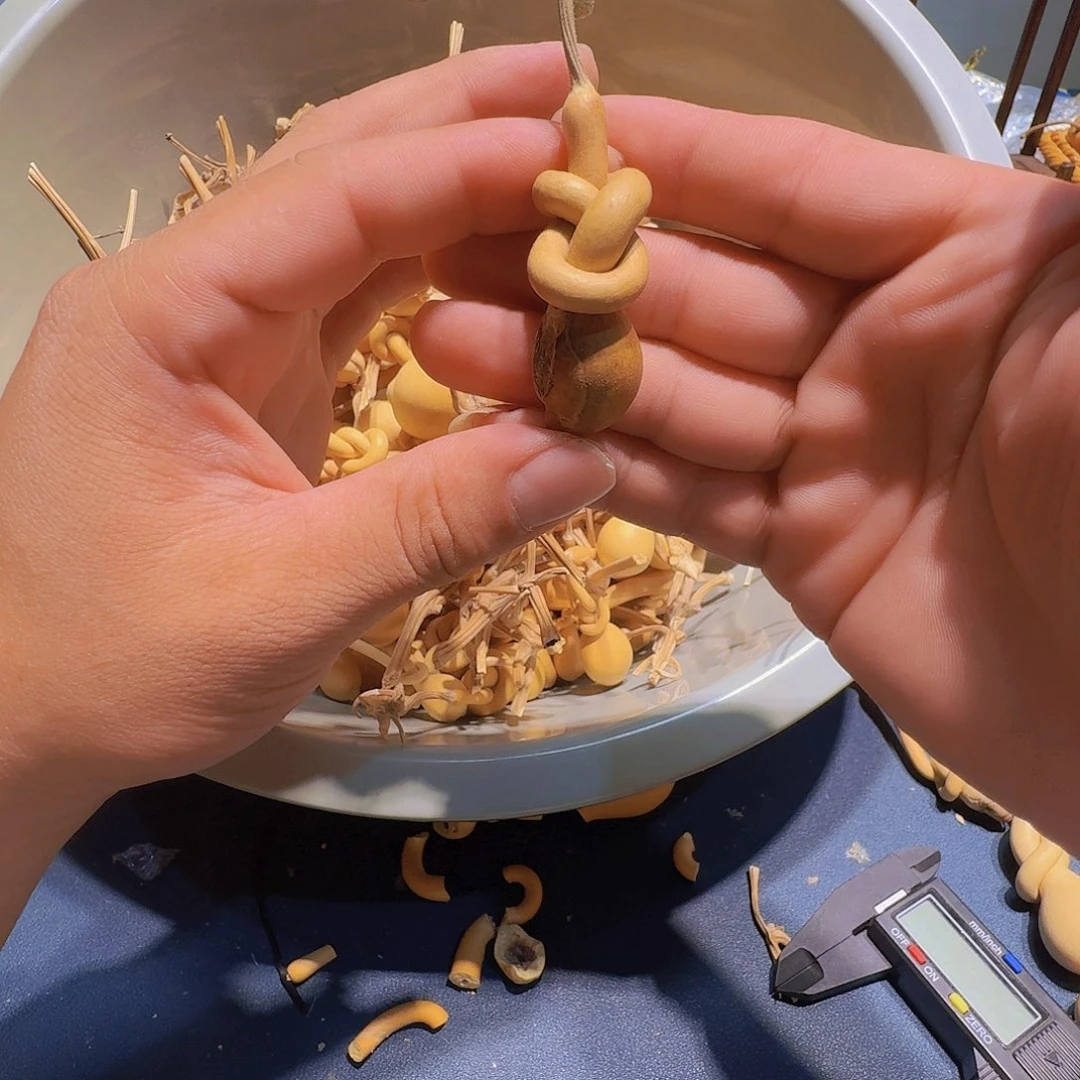六***豆葫芦里也放满肉丸等食材后