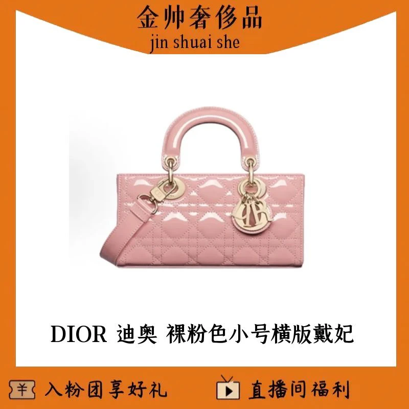 99新 DIOR/迪奥 裸粉色/小号/漆皮/横版戴妃/单肩包/B5555