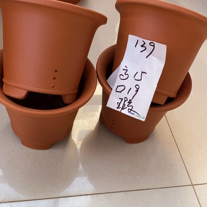 粗陶红陶绿植花盆139