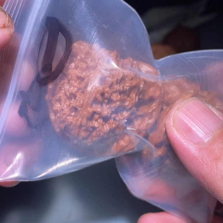 文玩核桃吊坠1呃呃呃