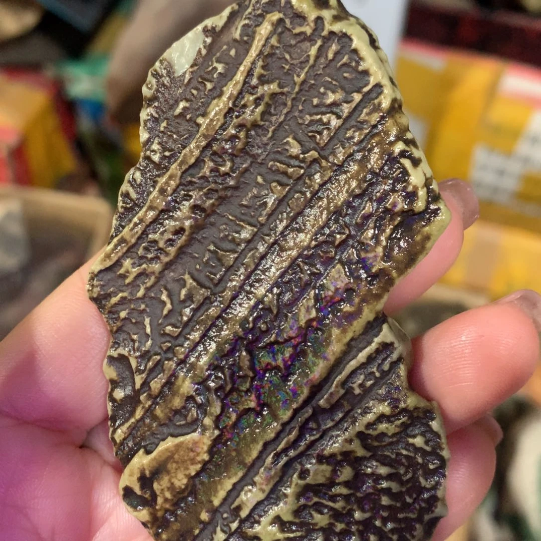 45678898654567999655