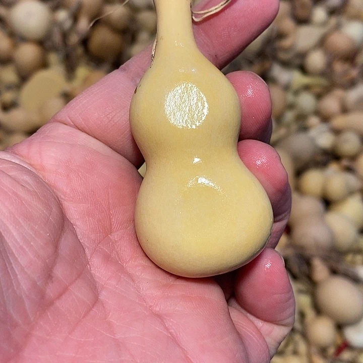 ～***迎精品葫芦手把葫芦9