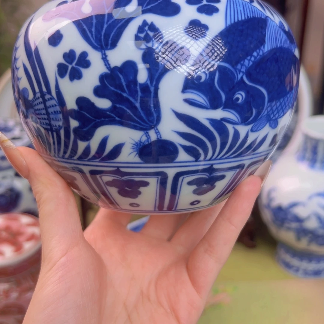 瓷片青花鱼藻水洗