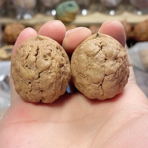 文玩核桃把件苍山龙虱带彩39